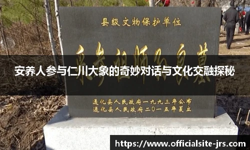安养人参与仁川大象的奇妙对话与文化交融探秘